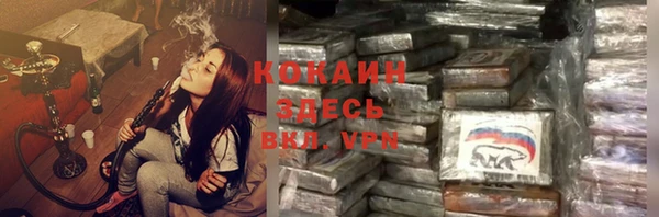 прущие грибы Елизово