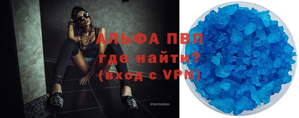прущие грибы Елизово