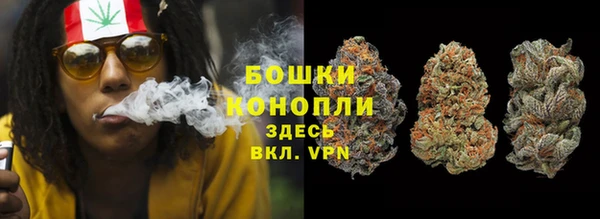 a pvp Ельня