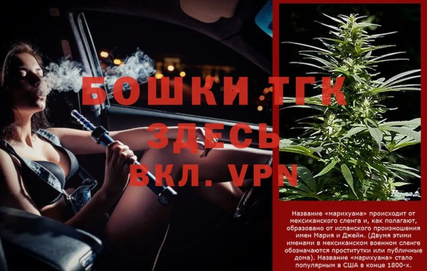 прущие грибы Елизово