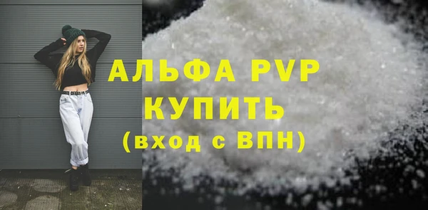 прущие грибы Елизово