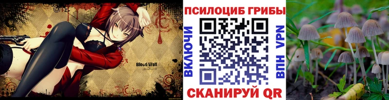 Псилоцибиновые грибы Psilocybe  Купить где  Артёмовский 
